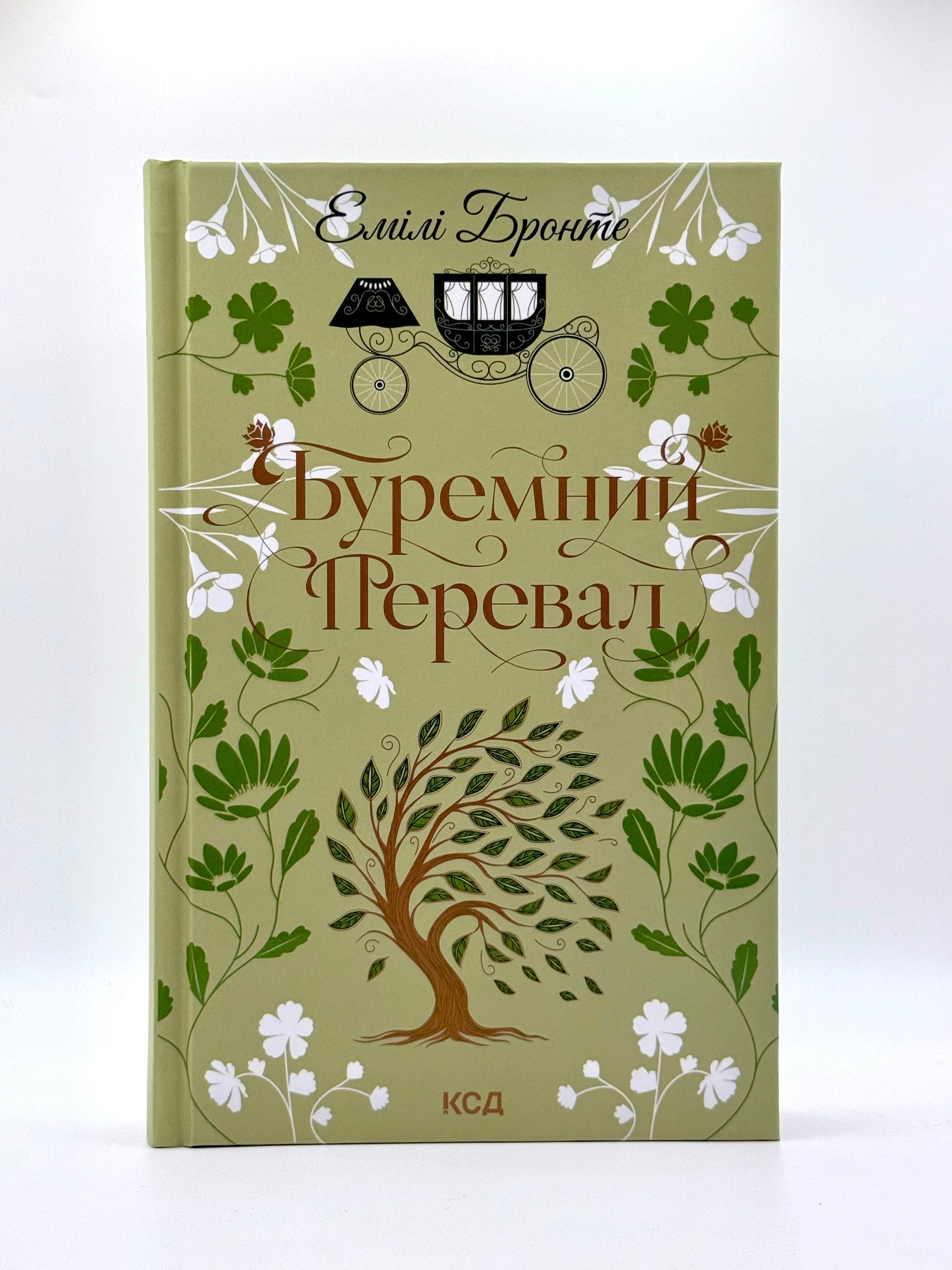 Буремний перевал
